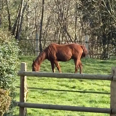 Le Fer A Cheval 72 - Les Contensieres Ferienhaus