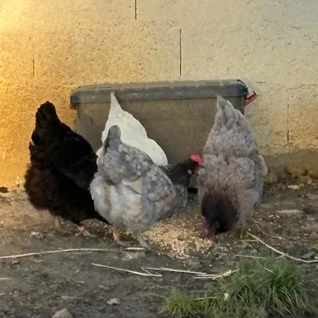 Ferienhaus Le Fer A Cheval 72 - Les Contensieres